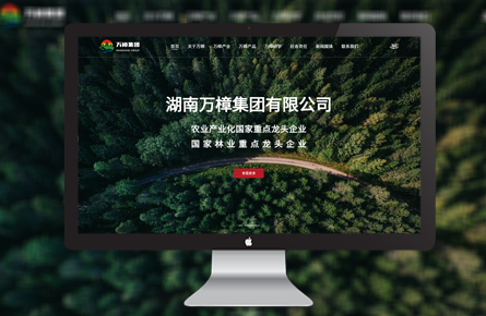 營(yíng)銷(xiāo)網(wǎng)站案例-湖南萬(wàn)樟集團(tuán)